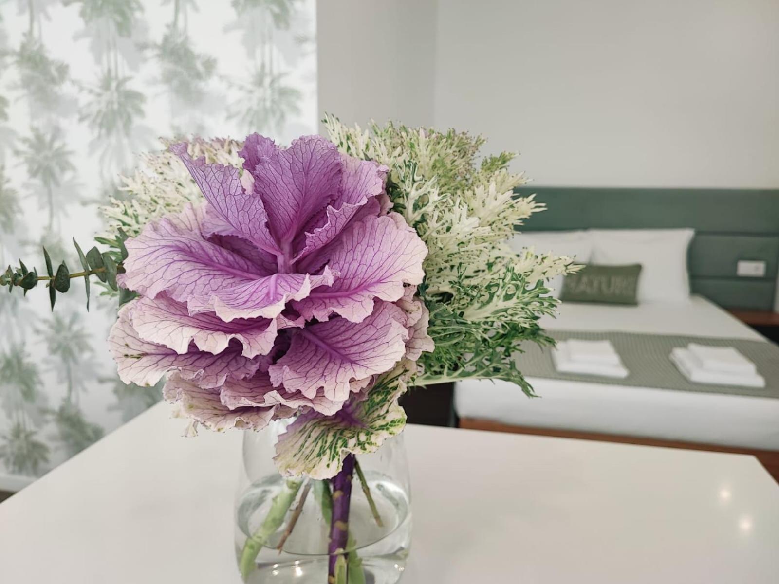Al.Fredos Apartment มินเดโล ภายนอก รูปภาพ